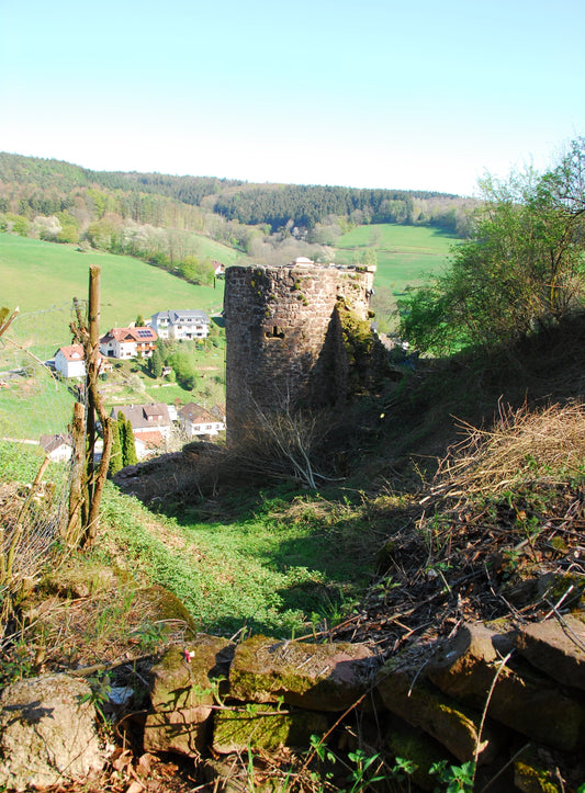 Mitgliederversammlung 2025 Burg Freienstein