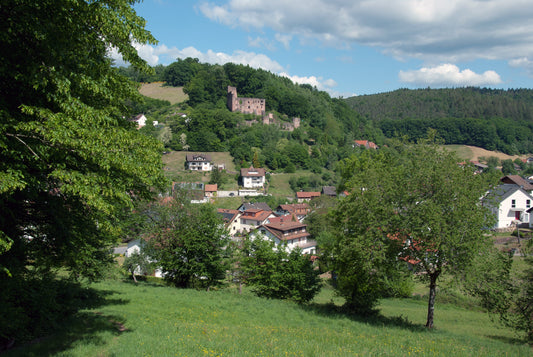 Wanderung zur Burg Freienstein mit Burgbesichtigung