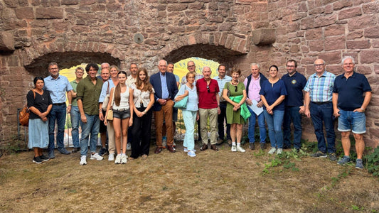 Lions Clubs zu Gast beim Förderverein Burgruine Freienstein