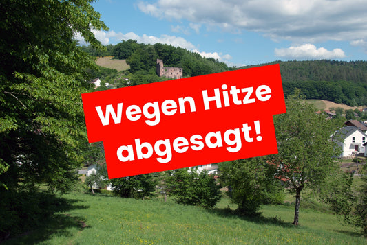 Wanderung zur Burg Freienstein mit Burgbesichtigung